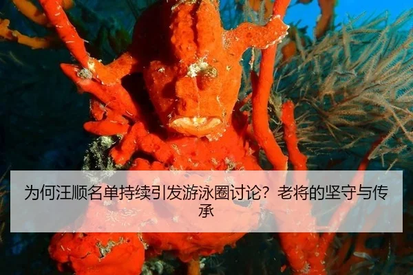 wei-he-wang-shun-ming-dan-chi-xu-yin-fa-you-yong-quan-tao-lun-lao-jiang-de-jian-shou-yu-chuan-cheng-2-807.jpg